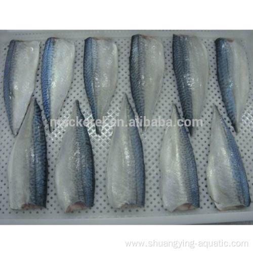 New Season Frozen Pacific Mackerel Fillet Fish